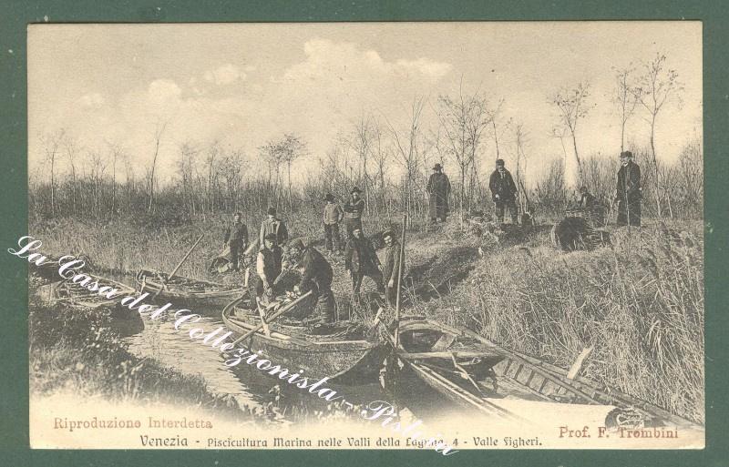 Veneto. VENEZIA, Laguna veneta. Piscicoltura Marina nelle Valli della Laguna, Valle Figheri.