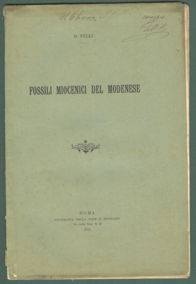 Paleontologia - Emilia. NELLI B.. Fossili miocenici del modenese, 1910.