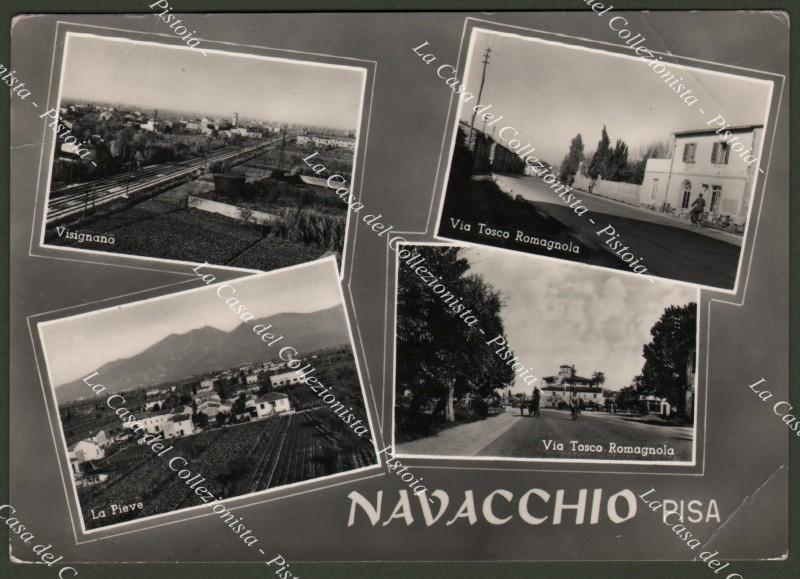 NAVACCHIO, Pisa. Cartolina viaggiata nel 1955
