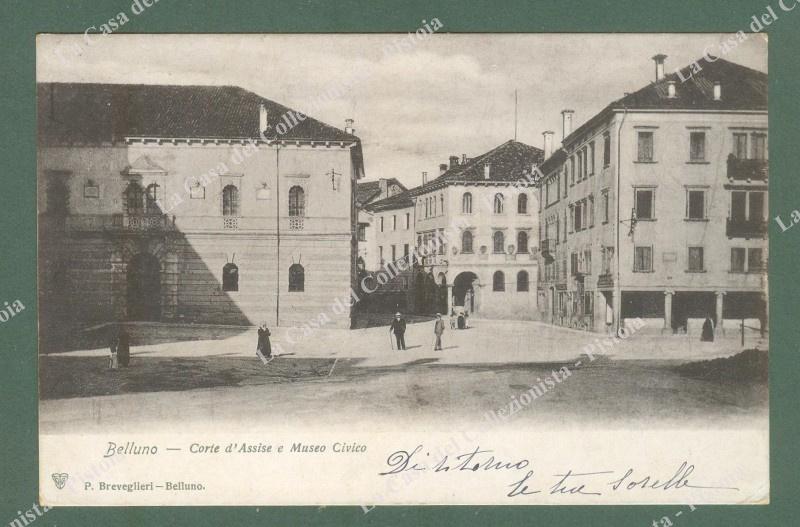 Veneto. BELLUNO. Corte d'Assise e Museo Civico. Cartolina d'epoca viaggiata nel 1903.
