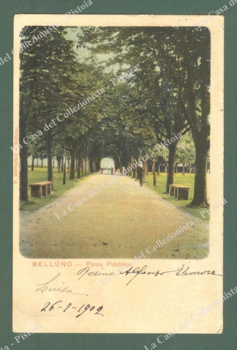 Veneto. BELLUNO. Parco Pubblico. Cartolina d'epoca viaggiata nel 1902.