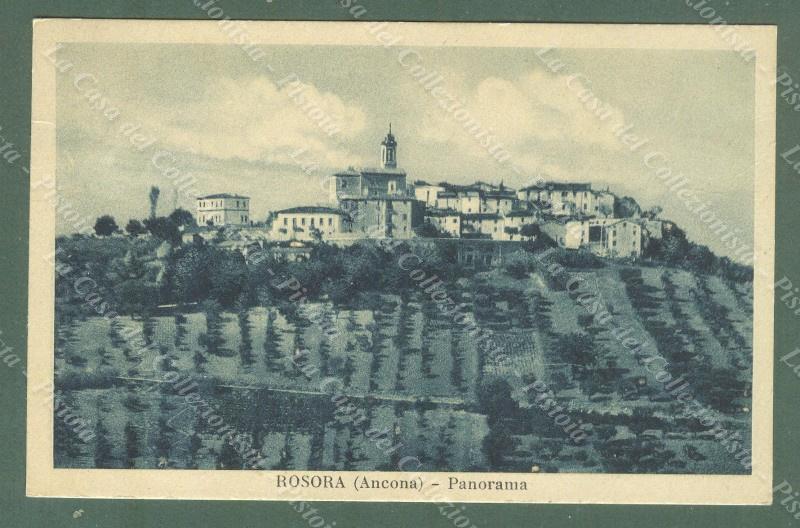 ROSORA, Ancona. Panorama. Cartolina d'epoca viaggiata