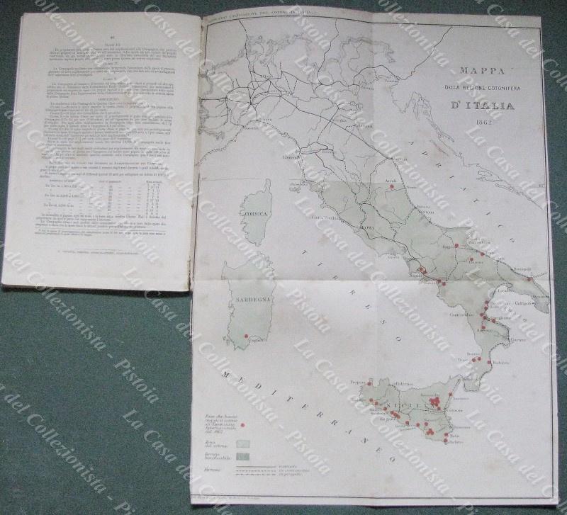 Agricoltura - coltivazione del cotone. DEVINCENZI G.. "DELLA COLTIVAZIONE DEL COTONE IN ITALIA....". Londra, 1862