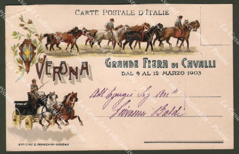 VERONA GRANDE FIERA DI CAVALLI 1903. Cartolina d'epoca viaggiata in busta