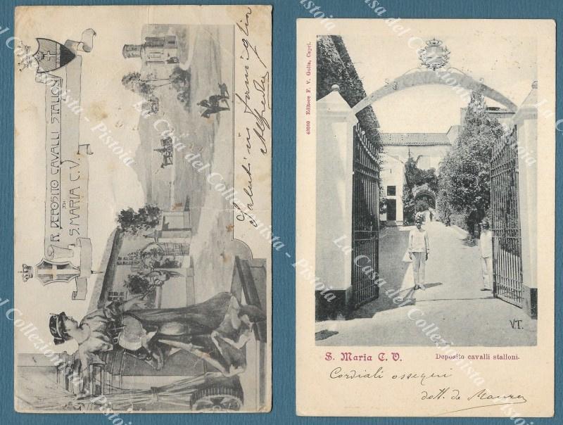 S. MARIA CAPUA A VETERE, Caserta. Deposito cavalli stalloni. 2 cartoline d'epoca viaggiate nel 1904 e 1905.