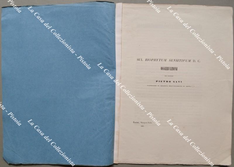 Botanica. SUL BIOPHYTUM SENSITIVUM D.C. OSSERVAZIONI del Dottore PIETRO SAVI.