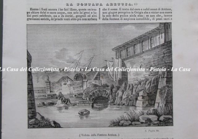 SICILIA - SIRACUSA. Pittoresca veduta della fontana Aretusa.