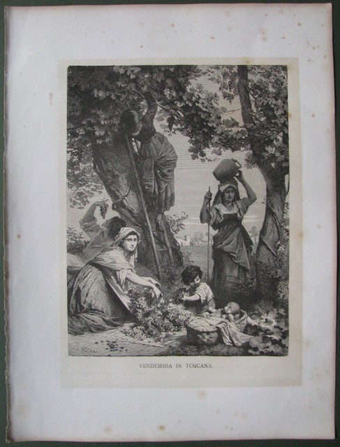 TOSCANA. Vendemmia in Toscana. Xilografia, circa 1880