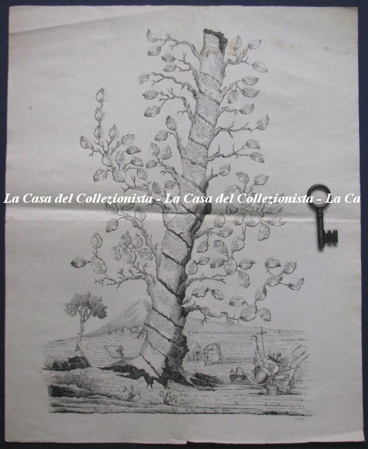 CALABRIA - CORIGLIANO CALABRO.  Ramo della Nobile Famiglia Saluzzo dà¨ Duchi di Corigliano