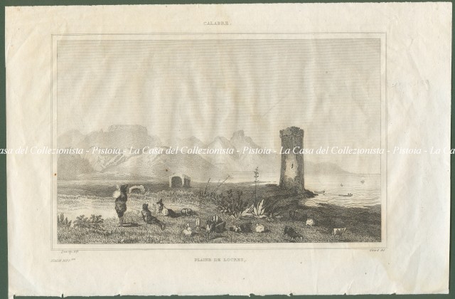 CALABRIA - LOCRI. Plaine de Locree. Veduta generale con pastori in primo piano e mare sullo sfondo