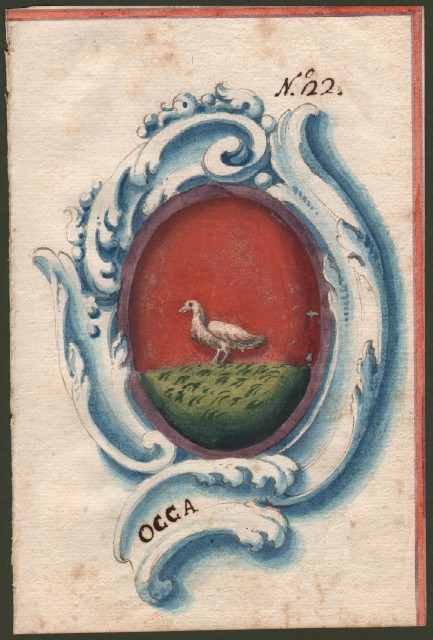 OCCA (o Dall'Occa) di REGGIO. Splendido acquarello settecentesco raffigurante lo stemma della famiglia.
